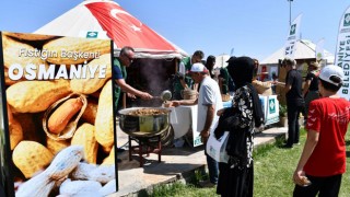 Osmaniye’nin Lezzetleri Ahlat’ta Tanıtıldı: Tanıtım Otağı İlgi Odağı Oldu