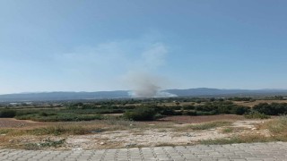 Osmaniyenin Sumbas ilçesinde orman yangını başladı