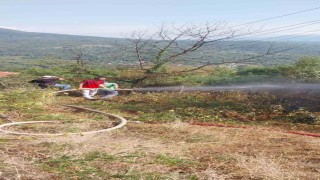 Otluk alanda çıkan yangın evlere ve ormanlık alana sıçramadan söndürüldü