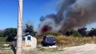 Otluk ve ağaçlık alanda çıkan yangın paniğe sebep oldu