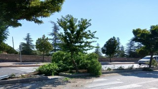 Otomobil takla attı: 1 yaralı