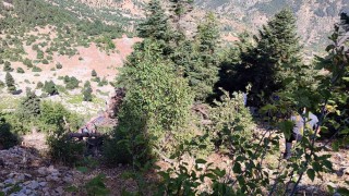Otomobil uçuruma yuvarlandı: 2 ölü