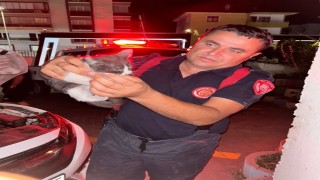 Otomobilin motor kısmına girerek sıkışan yavru kedi ekipleri seferber etti