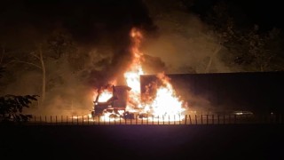 Otoyolda tırdaki yangın ormanlık alana sıçradı