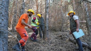 Palandökende yangına karşı seferberlik