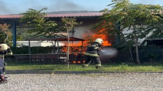 Park halindeki cenaze nakil aracı yandı