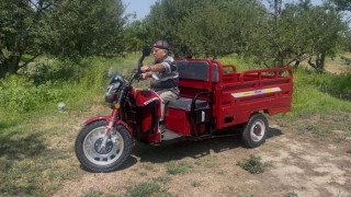 Patpatların tahtını elektrik çarptı