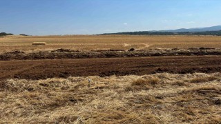 Pazaryerine dev yatırım