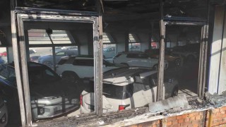 Pendikte arazi yangını: Milyonluk sıfır araçlar son anda kurtarıldı