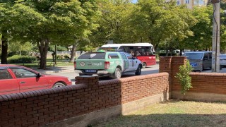 Polis ekipleri kedi ölümleriyle ilgili çalışma başlattı