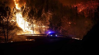 Portekizde orman yangınında ölü sayısı 3e yükseldi