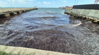 Poyraz kızıl yosun getirdi