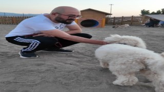 Proteo Köpek Eğitim Parkuruna tam not