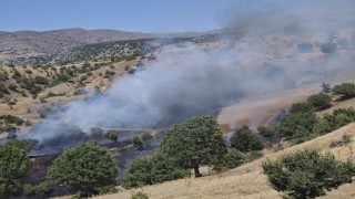 Pütürgede orman yangını