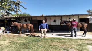 Rahvan atlarına sağlık taraması