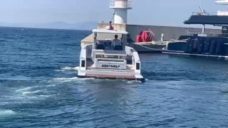 Sahil güvenlik Graywolfun izinde