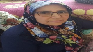 Sahipsiz köpeklerden kaçarken aracın altında kaldı