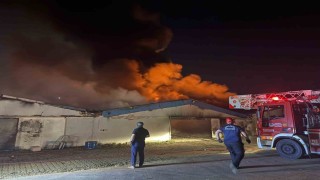 Sakaryada boya fabrikasında yangın