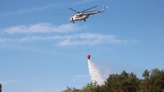 Sakaryadaki orman yangını kontrol altına alındı