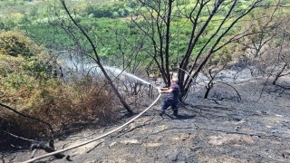 Samandağda bahçe yangını kısa sürede söndürüldü