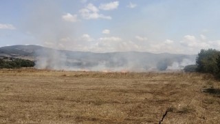 Samsunda anız yangını ormana sıçramadan söndürüldü