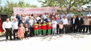 Samsunda çileğin kalbi Dürtmen Yaylasında attı