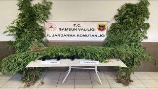 Samsunda jandarmadan silah ve uyuşturucu operasyonları: 4 gözaltı