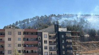 Şanlıurfada ağaçlık alanda çıkan yangın söndürüldü