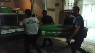 Şanlıurfada bıçaklı kavga: 1 ölü