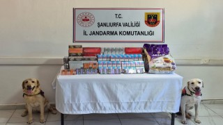 Şanlıurfada tütün ve alkol kaçakçılarına darbe