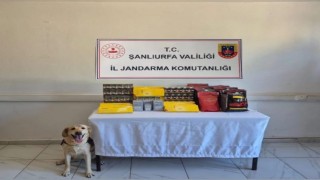 Şanlıurfada uyuşturucu operasyonu: 6 gözaltı