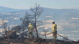 Sarp araziye 2 kilometre hortum çeken ateş savaşçıları yangını söndürdü