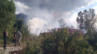 Sazlık alanda korkutan yangın