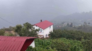 Şehir sıcaktan kavruldu, yaylada yağmur serinletti