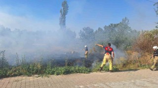 Selçukta sazlık alanda yangın paniği