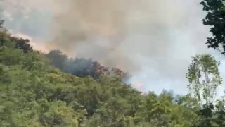 Şemdinlide orman yangını