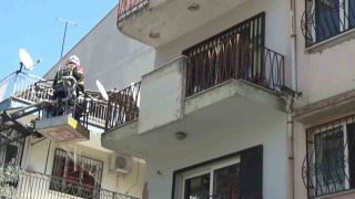 Sevimli kediyi kurtarmak için tüm ekipler seferber oldu, o kurtarılacağı anda atlayıp gitti