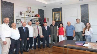 Seyitgazide yanan ormanların yerine yeniden ağaçlandırma çalışmaları yapılacak