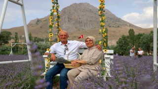 Âşık olduğu dağın eteğine lavanta bahçesi kurdu, kartpostallık görüntüler oluştu