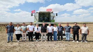 Silivride yaklaşık bin 500 dekar alanda ayçiçeği hasadı başladı