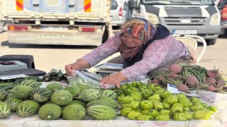Sincan Belediyesi üretici köylü pazarları hizmette