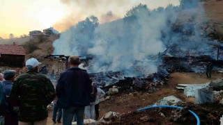 Sinopta çıkan yangında 2 ev, 2 ahır, 1 samanlık küle döndü