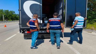 Sinopta düzensiz göçmen uygulaması