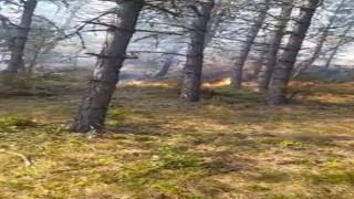 Sinopta orman yangını: Köy tahliye edildi