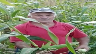 Sinopta traktör devrildi: 1 ölü