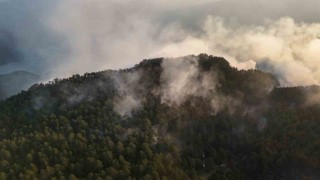 Sinoptaki orman yangını kontrol altına alındı, soğutma çalışmaları sürüyor