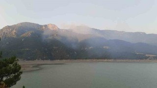 Sinoptaki orman yangınına havadan ve karadan müdahale sürüyor