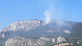 Sinoptaki orman yangınında soğutma çalışmaları devam ediyor