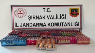 Şırnakta jandarmadan kaçakçılık operasyonu