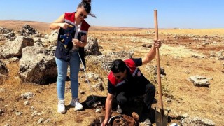 Şırnakta tarımsal üretime yön verecek etüt çalışmaları başladı
